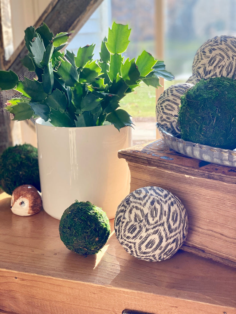 Black and White Geometric Print Bowl and Vase Filler with Moss Balls